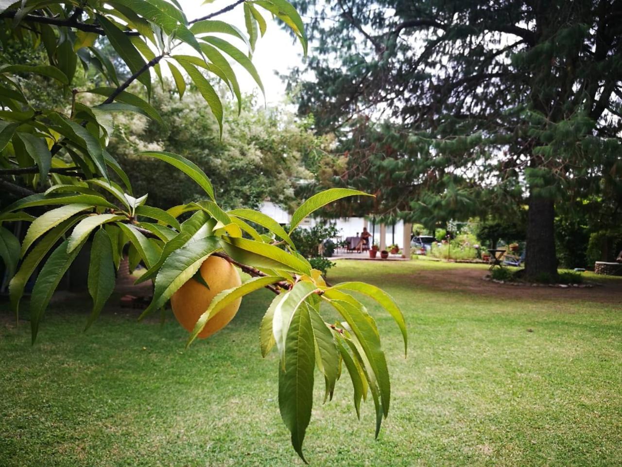 El Mana Villa Bialet Massé Exteriör bild